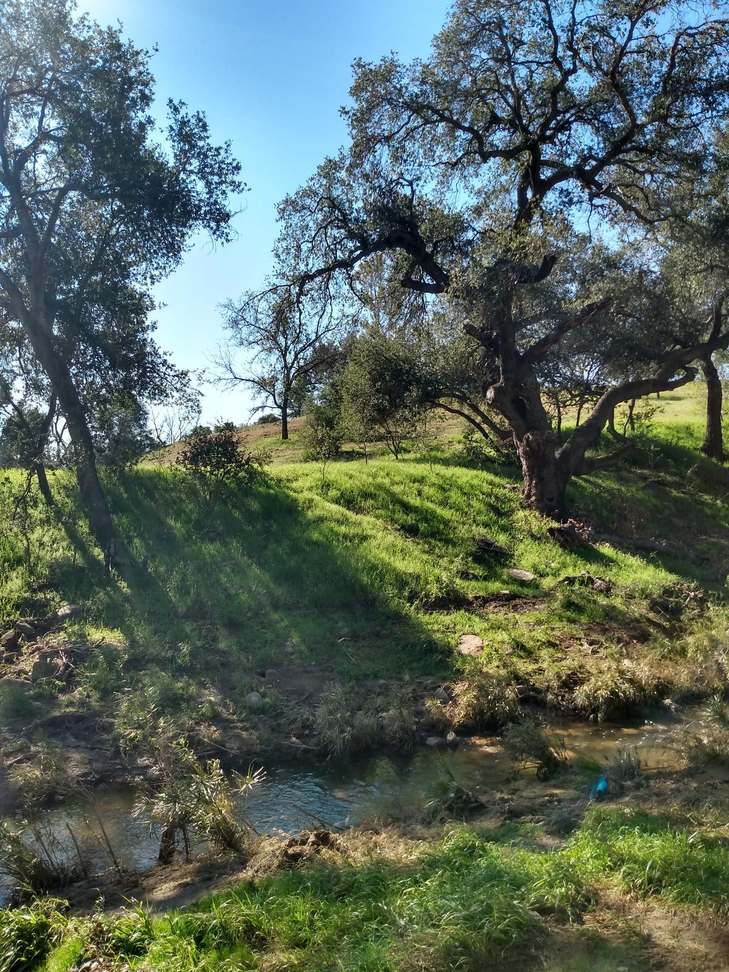 Ojai City Hall Campus photo gallery Ojai Valley Green Coalititon